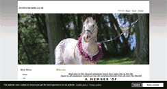 Desktop Screenshot of minihorsesales.co.uk