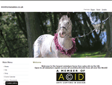 Tablet Screenshot of minihorsesales.co.uk